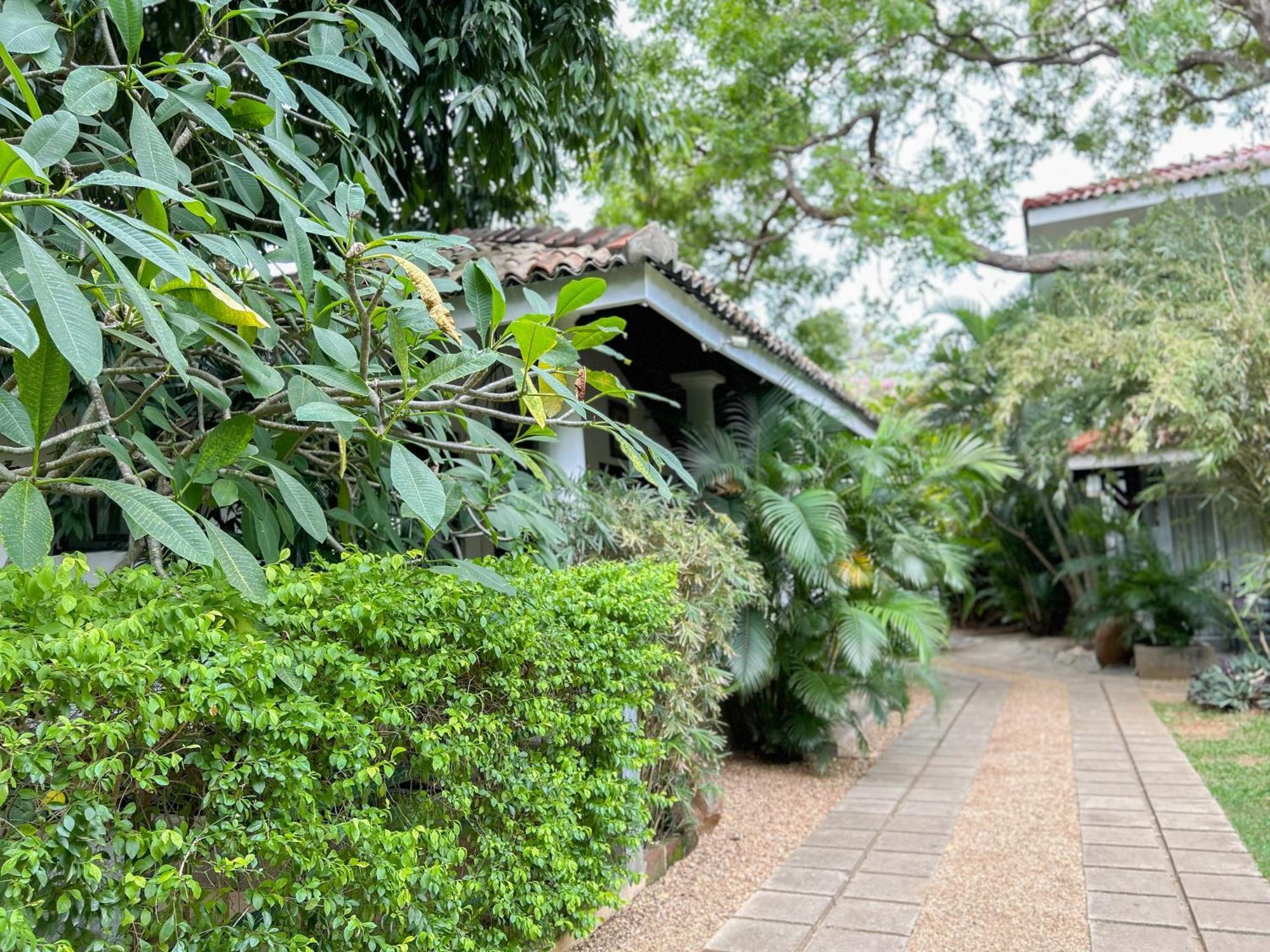 Wild Heaven Hotel Tissamaharama Exterior foto